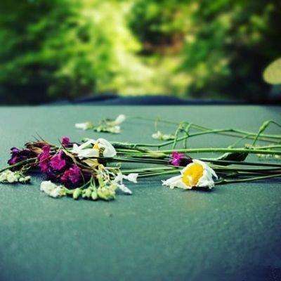 乐鱼竞彩官网下载手机版截图