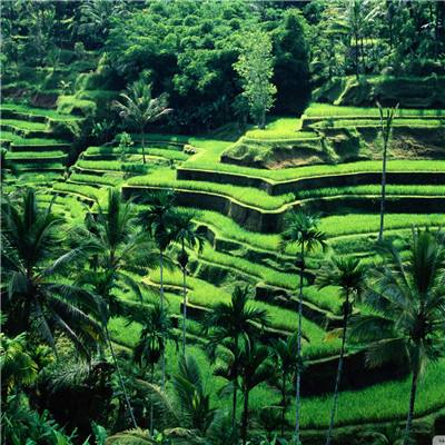 星空体育app下载手机版截图